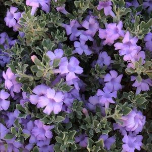 Meet your Posher, Marina